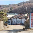 고양이행복쉼터