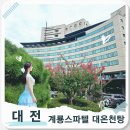 유성목욕탕 | 서울근교 여행코스 대전 유성온천 사우나 즐기기 : 계룡스파텔 대온천탕에서 힐링