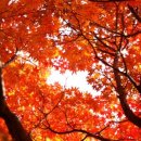 [1급과정] 독서논술지도사 1급 이미지