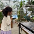 청양 아이와 가볼만한 곳 앵무새정원 꽃단지카페