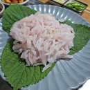 의왕 직장인 회식 메뉴 장소 장어 하모하모 갯장어 세꼬시