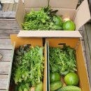 함양농약사 이미지