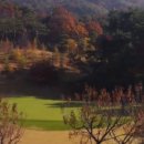 스카이엔지니어링주 이미지