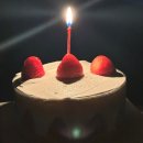 (11.11-12.01)우당탕탕 햄뚜일기