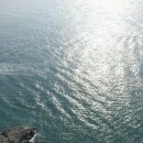 태종대한의원 이미지