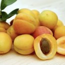 사람 휘트니스 이미지