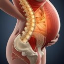 온아한한의원 | 임산부 허리, 골반통증 한의원 가도 될까요?