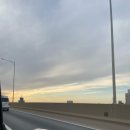 우진켄넬 | [제주도 보름살기] 봄이와 제주도 1일차 | 중대형견 | 진도믹스 | 평대해변,다코네,홀라인,닭다리먹고맴맴