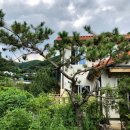 로키공인중개사사무소 이미지