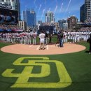 메이저카닥터 이미지