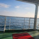 불루민박 이미지