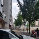 (주)구디팡 이미지