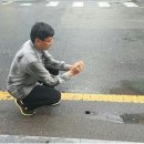 선진보라매 이미지