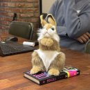 SF영어도서관 | 넷플연가 SF 독서모임 후기 🔭