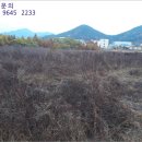 북창원농협화천지점 이미지