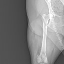 (주)쿨펫 이미지