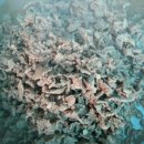 양3동주민센터 이미지