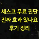 세스코 무료 진단 진짜 효과 있나요 후기 정리