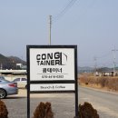 콩테이너 | 포항카페 자명 콩테이너 솔직후기