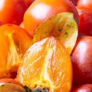 악양스토아 이미지