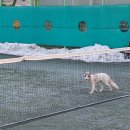 덕진체련공원 테니스장 이미지