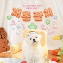 재롱이네 이미지