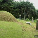 이색신도비 Daum카페