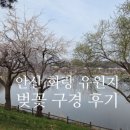 화랑유원지2주차장 입구 | 안산 화랑유원지 벚꽃 구경와 호수 산책후기, 주차 정보(2026.4.3.)