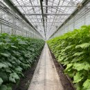 병길농장 이미지