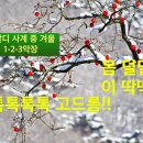 임송 지휘-여수필하모닉오케스트라-비발디 사계 중 겨울 1-2-3악장-송년음악회 실내악시리즈3 - 2022.12.6 예울마루 이미지