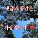 뚜레쥬르마산진동
