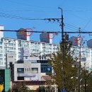 들말한보타운 이미지