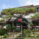 영동막국수 이미지