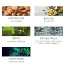 비타민매점 | 제네틱 씬크로 크림 사용후기 , 채정안배우 소개크림