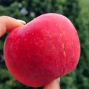 미니스토어 이미지