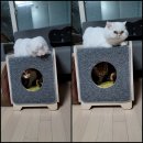 오투오가구 | 캣도고토 고양이 원목가구! 고양이 스크레쳐, 숨숨집 체험단에 뽑혀 후기작성 하겠습니다