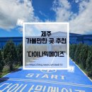 메이즈메이즈 | 제주 실내 가볼만한곳 다이나믹메이즈 방문 후기, 서귀포 표선 실내 액티비티 추천