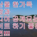 SY크레이티브
