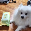 코코프렌즈 이미지