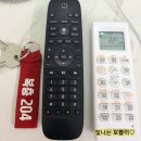 통영 사량도 펜션 🏘 앞마당이 해수욕장🏖 돈키호테펜션 후기