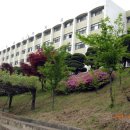 백암고등학교 이미지