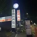 올빼미카워시 이미지