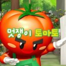 멋쟁이토마토 이미지