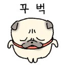 라인댄스 (입문) 이미지