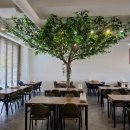 고운동_가락1302동앞 | 세종시 마음안로 수제 손두부 순두부 두부전골 솥밥 맛집 | 생생정보 2457회 2026년1월14일