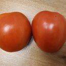 토마토mart 이미지