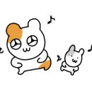 도봉-쌍문-도봉-1386 이미지