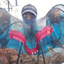 수정-110 이미지