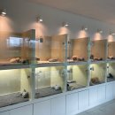 포더독스 강아지 강서 마곡점 이미지