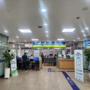 외국인비자전문 행정사사무소 이미지